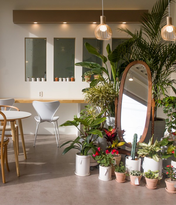 식물 전구, 식물 성장 램프(LED 12W)